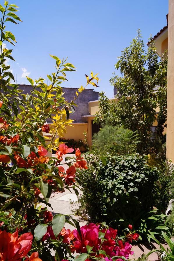 J&K Suite San Cristobal de las Casas Exterior photo